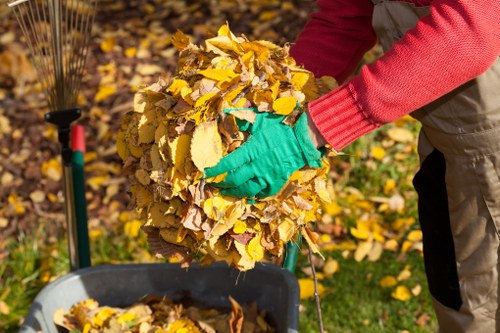 Professionals performing garden clearance in Leyton